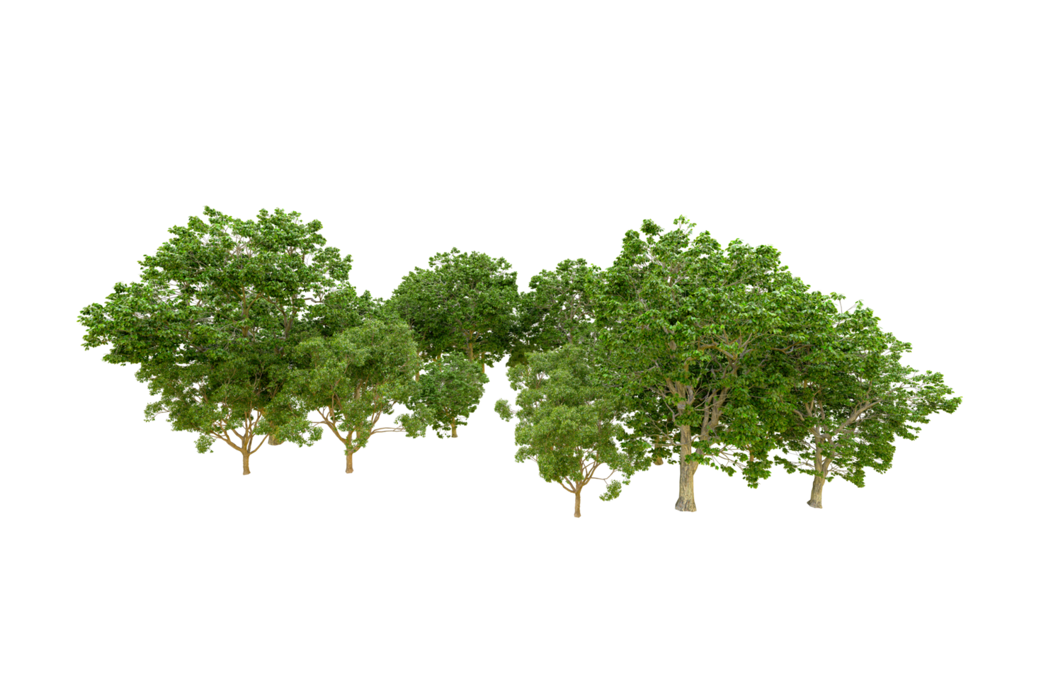 Green forest isolated on background. 3d rendering - illustration png