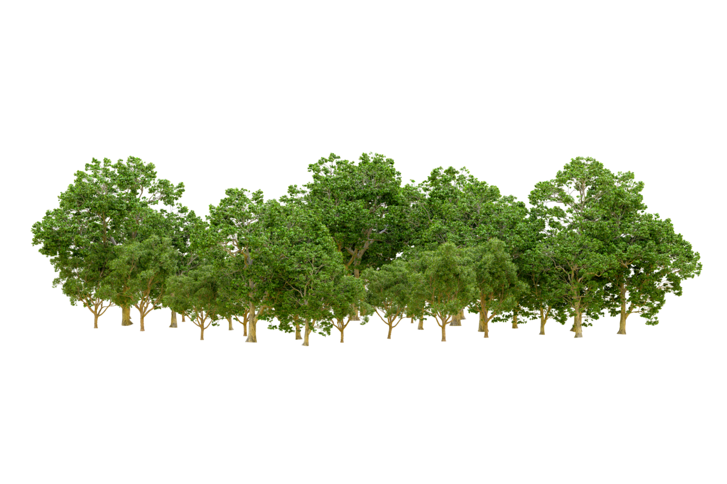 Green forest isolated on background. 3d rendering - illustration png