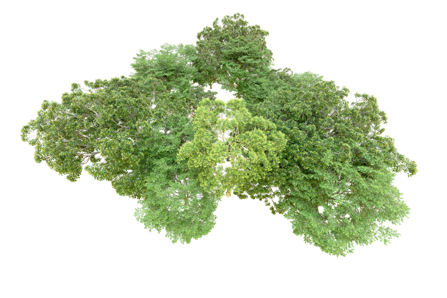 Green forest isolated on background. 3d rendering - illustration png