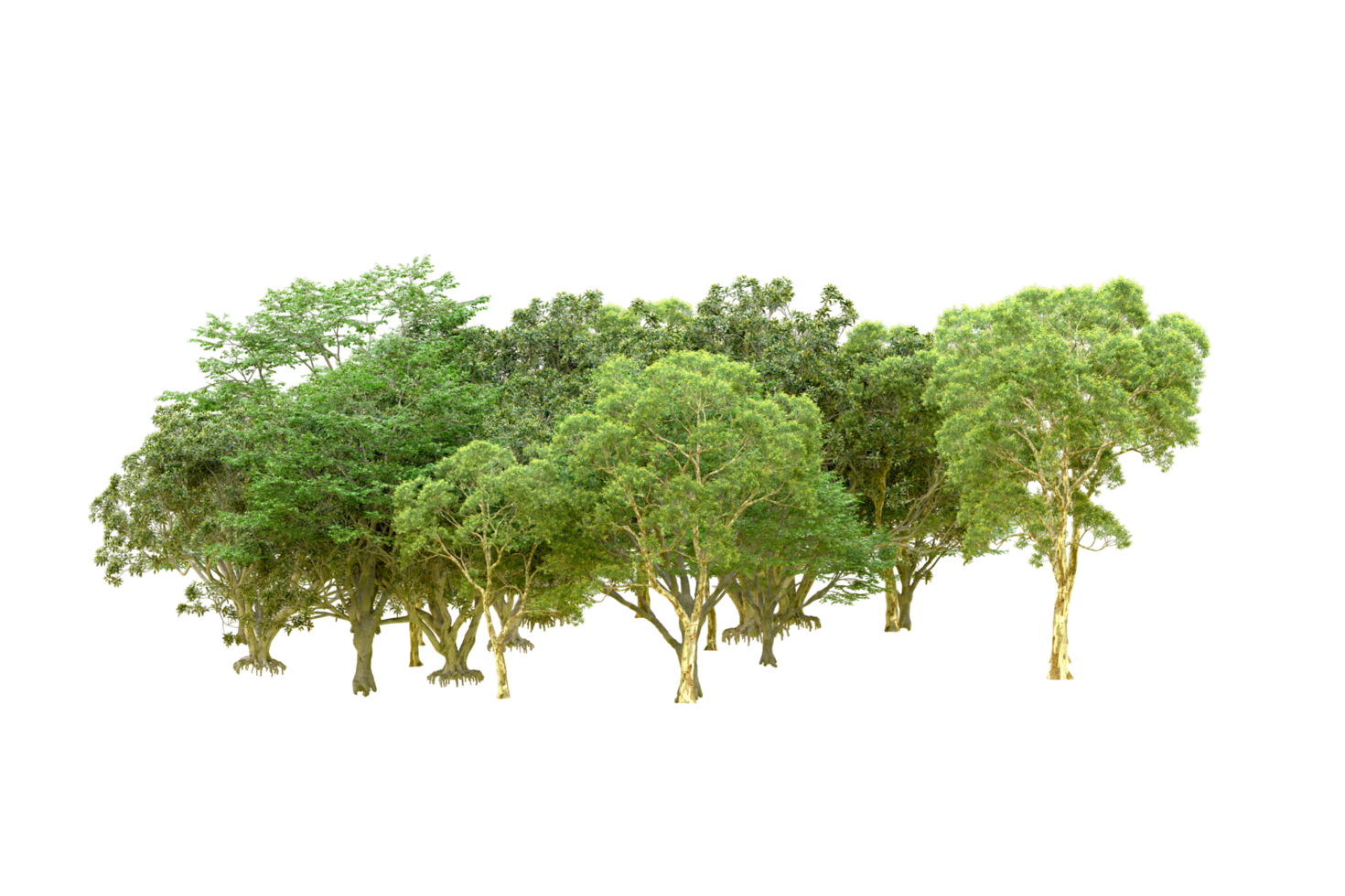 Green forest isolated on background. 3d rendering - illustration png