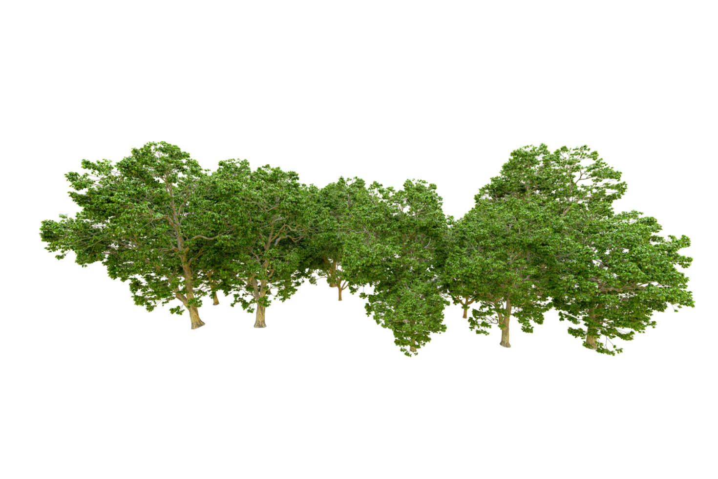 Green forest isolated on background. 3d rendering - illustration png