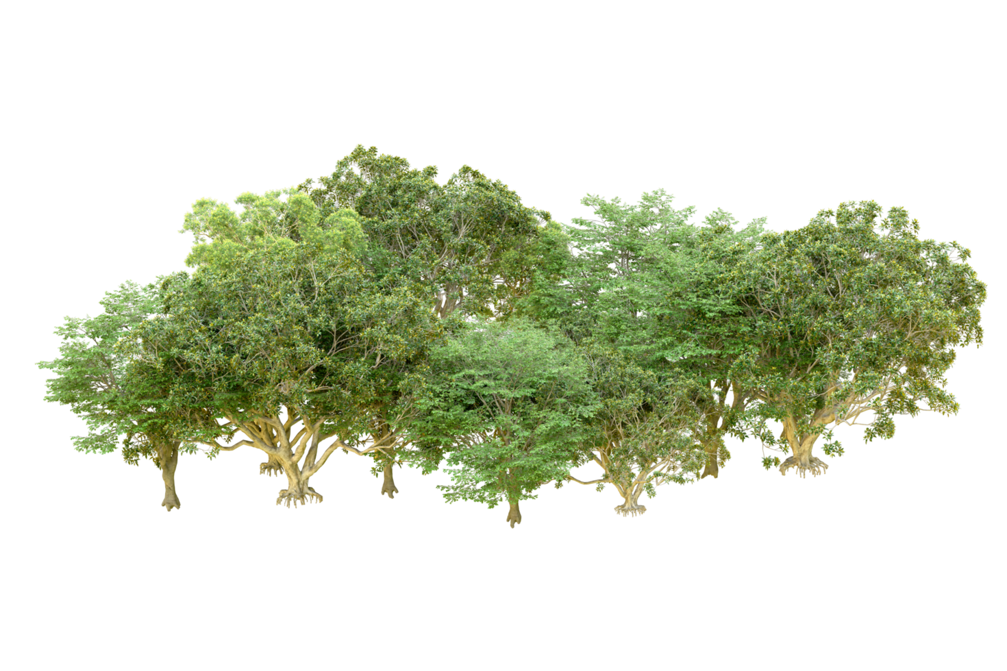 Green forest isolated on background. 3d rendering - illustration png