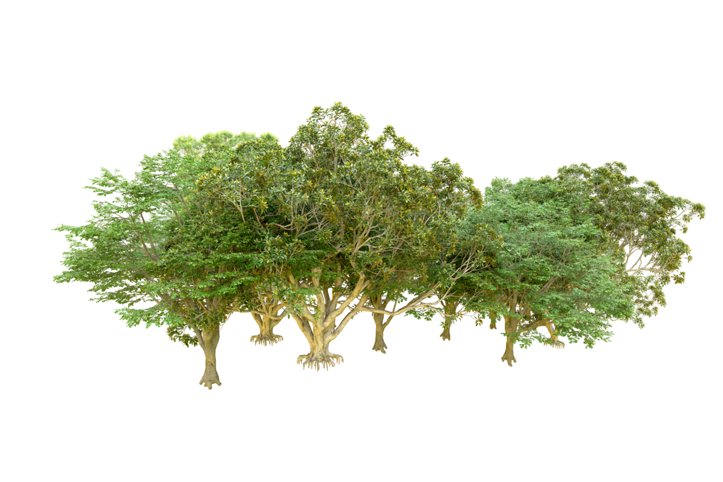Green forest isolated on background. 3d rendering - illustration png