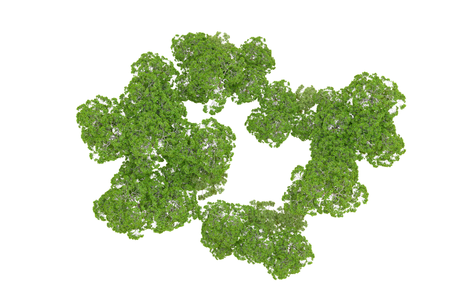 Green forest isolated on background. 3d rendering - illustration png