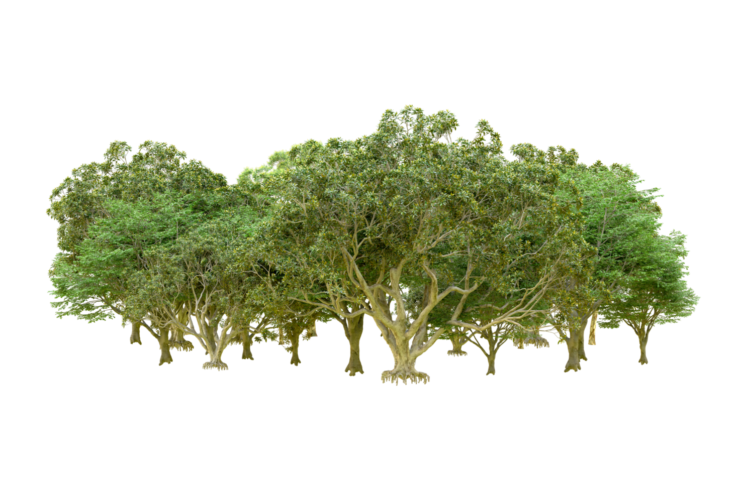 Green forest isolated on background. 3d rendering - illustration png