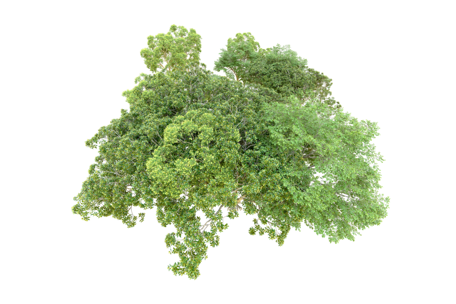 Green forest isolated on background. 3d rendering - illustration png