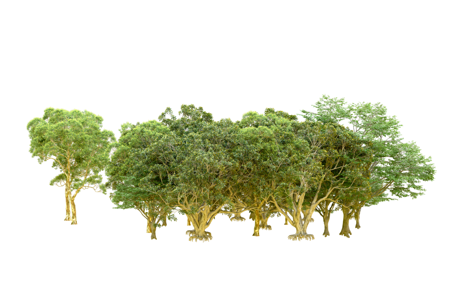Green forest isolated on background. 3d rendering - illustration png
