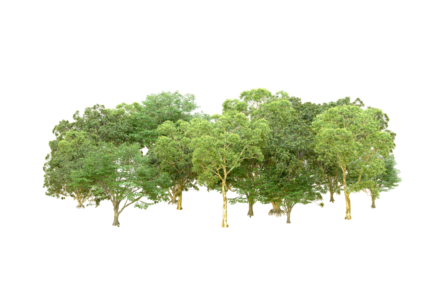 Green forest isolated on background. 3d rendering - illustration png