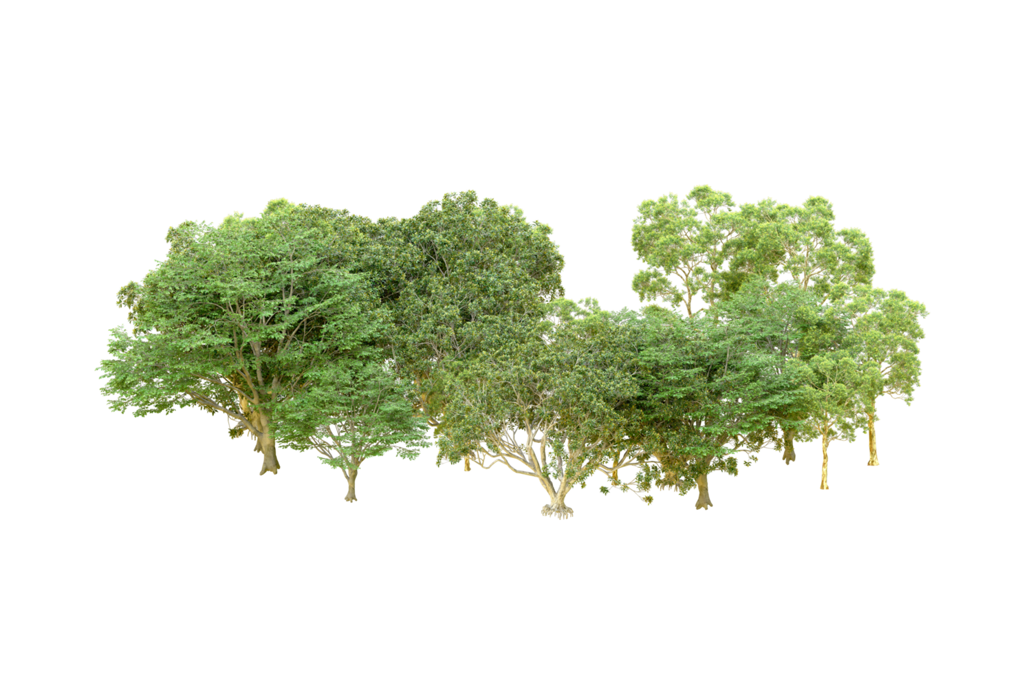 Green forest isolated on background. 3d rendering - illustration png