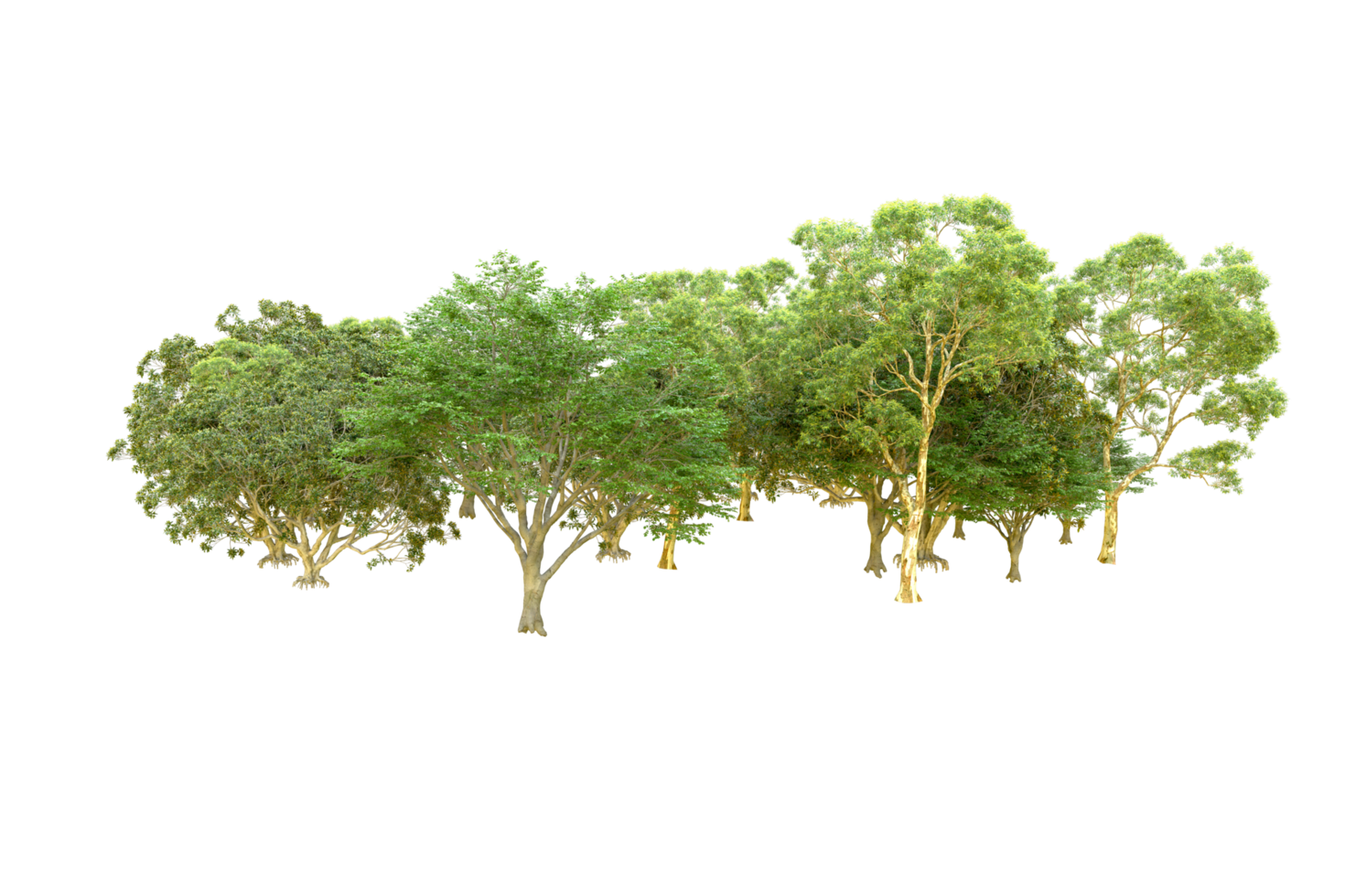 Green forest isolated on background. 3d rendering - illustration png