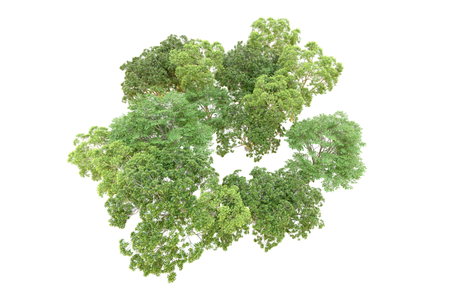 Green forest isolated on background. 3d rendering - illustration png