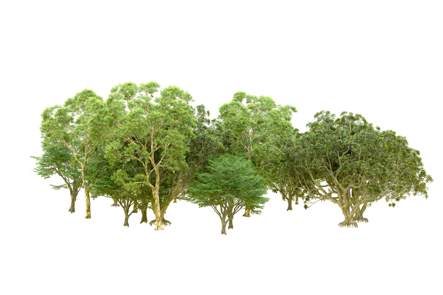 Green forest isolated on background. 3d rendering - illustration png