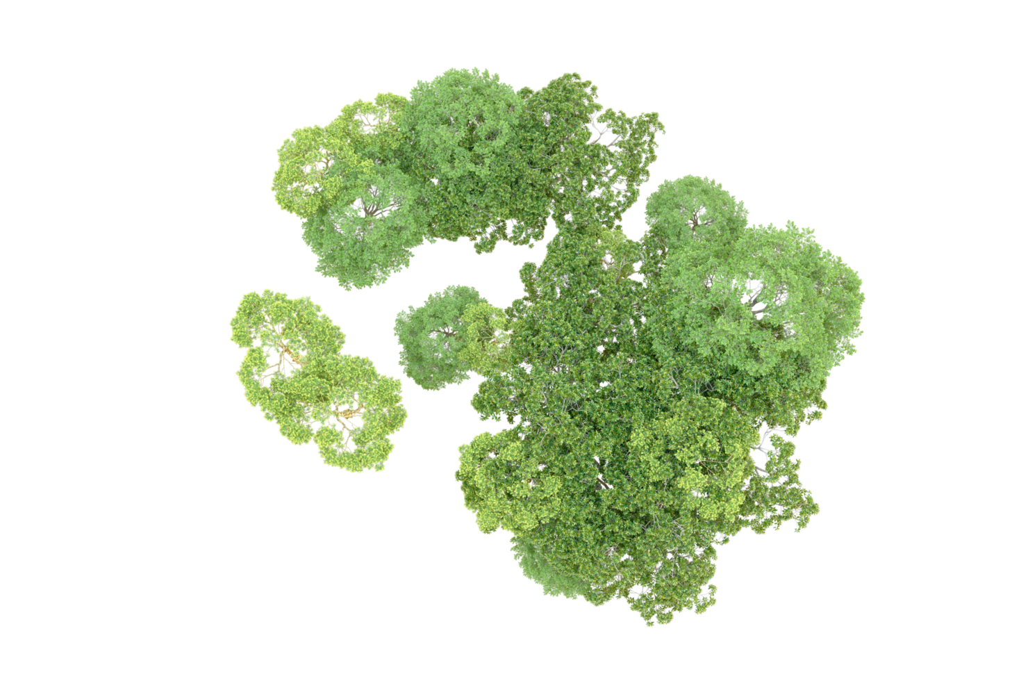 Green forest isolated on background. 3d rendering - illustration png