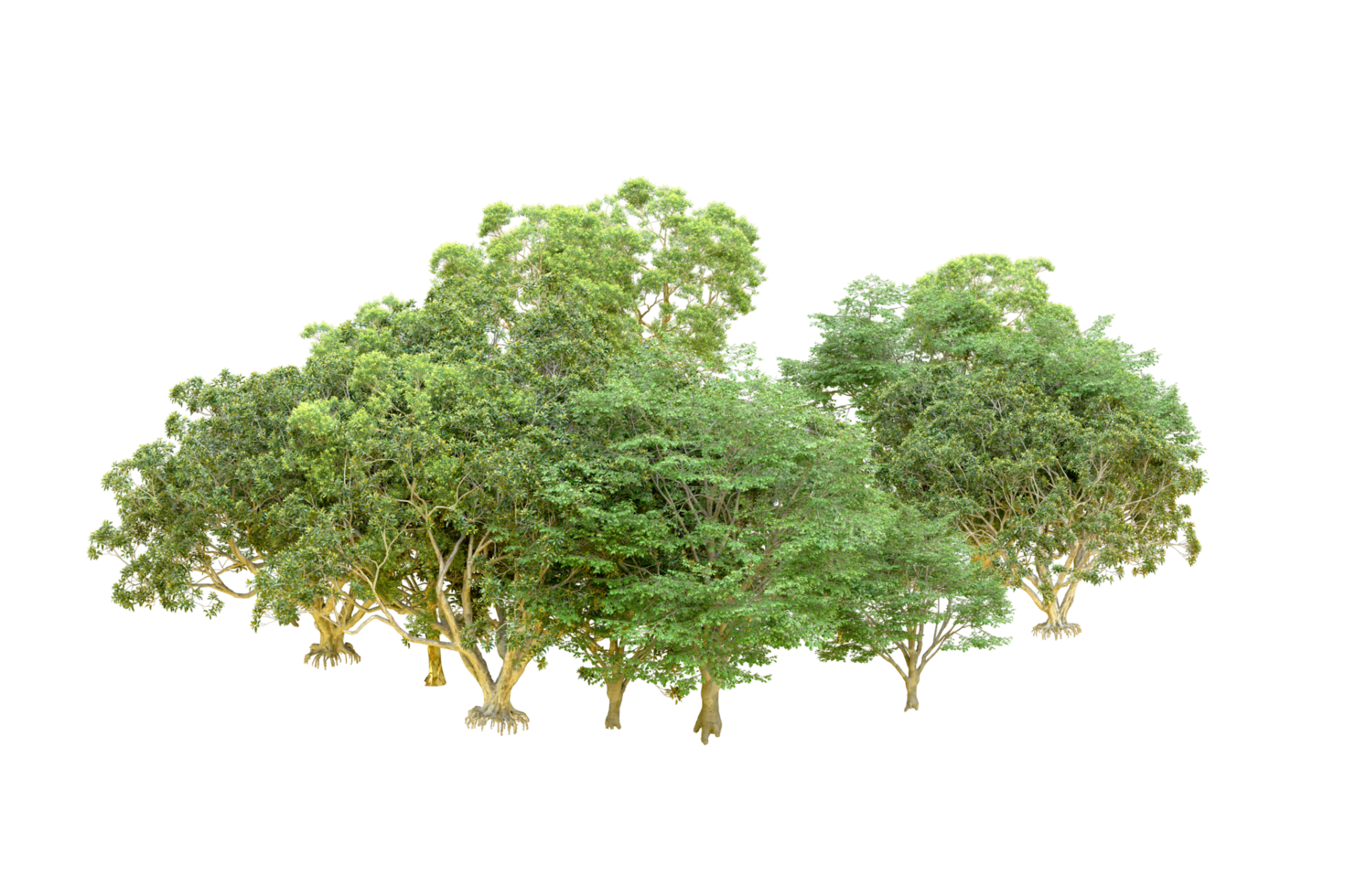 Green forest isolated on background. 3d rendering - illustration png