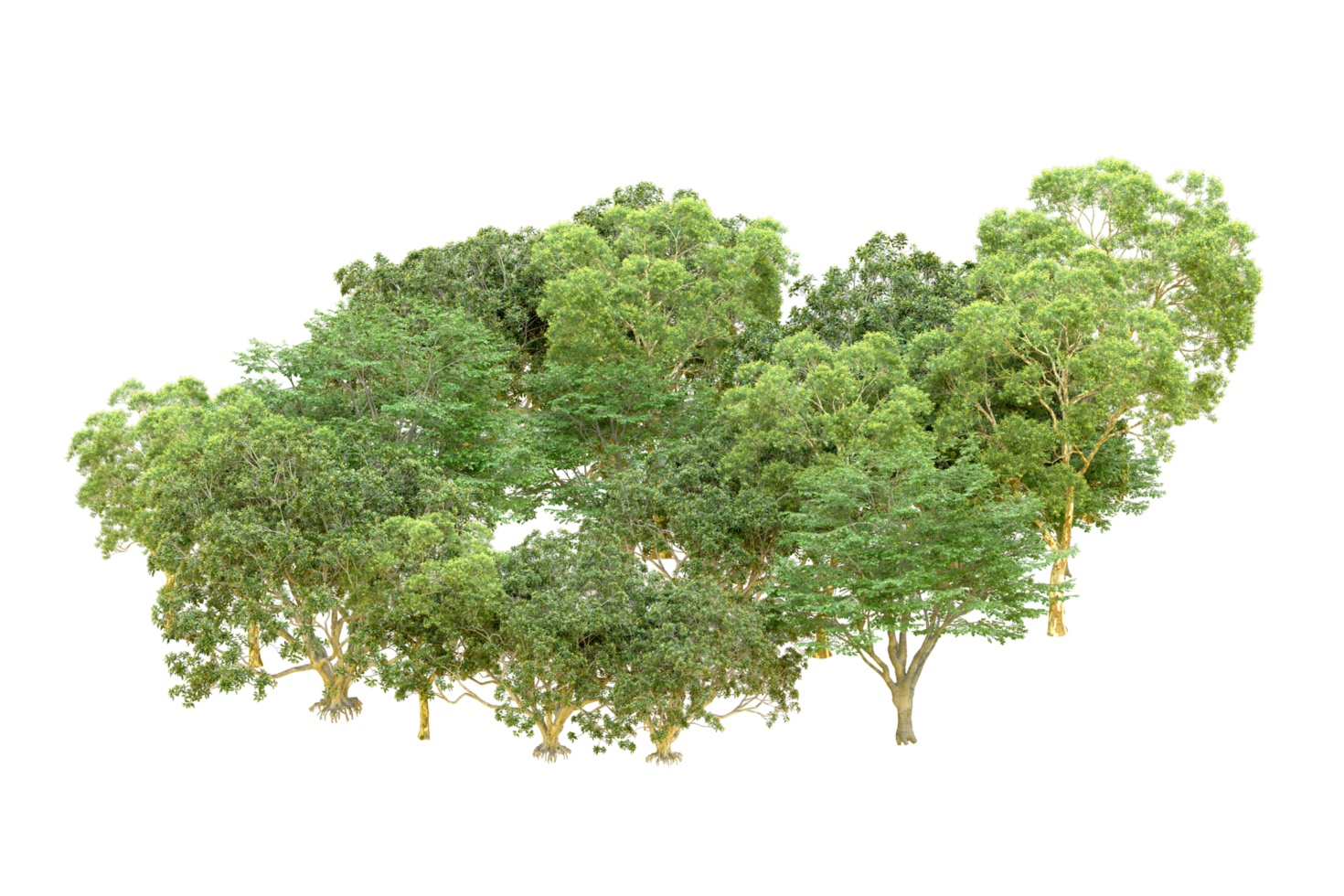 Green forest isolated on background. 3d rendering - illustration png