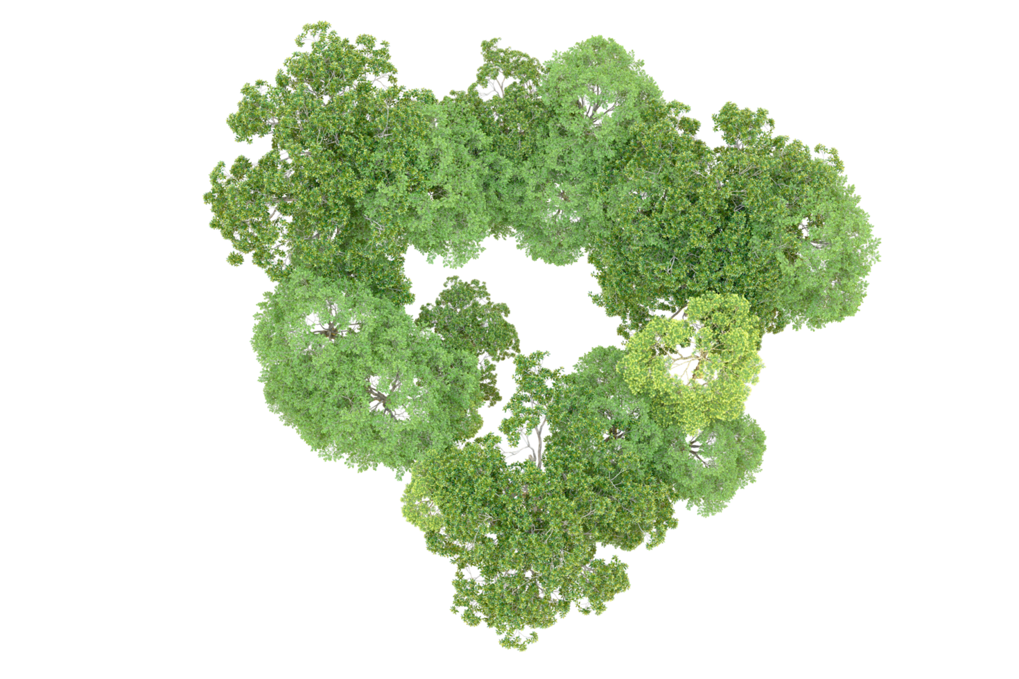 Green forest isolated on background. 3d rendering - illustration png