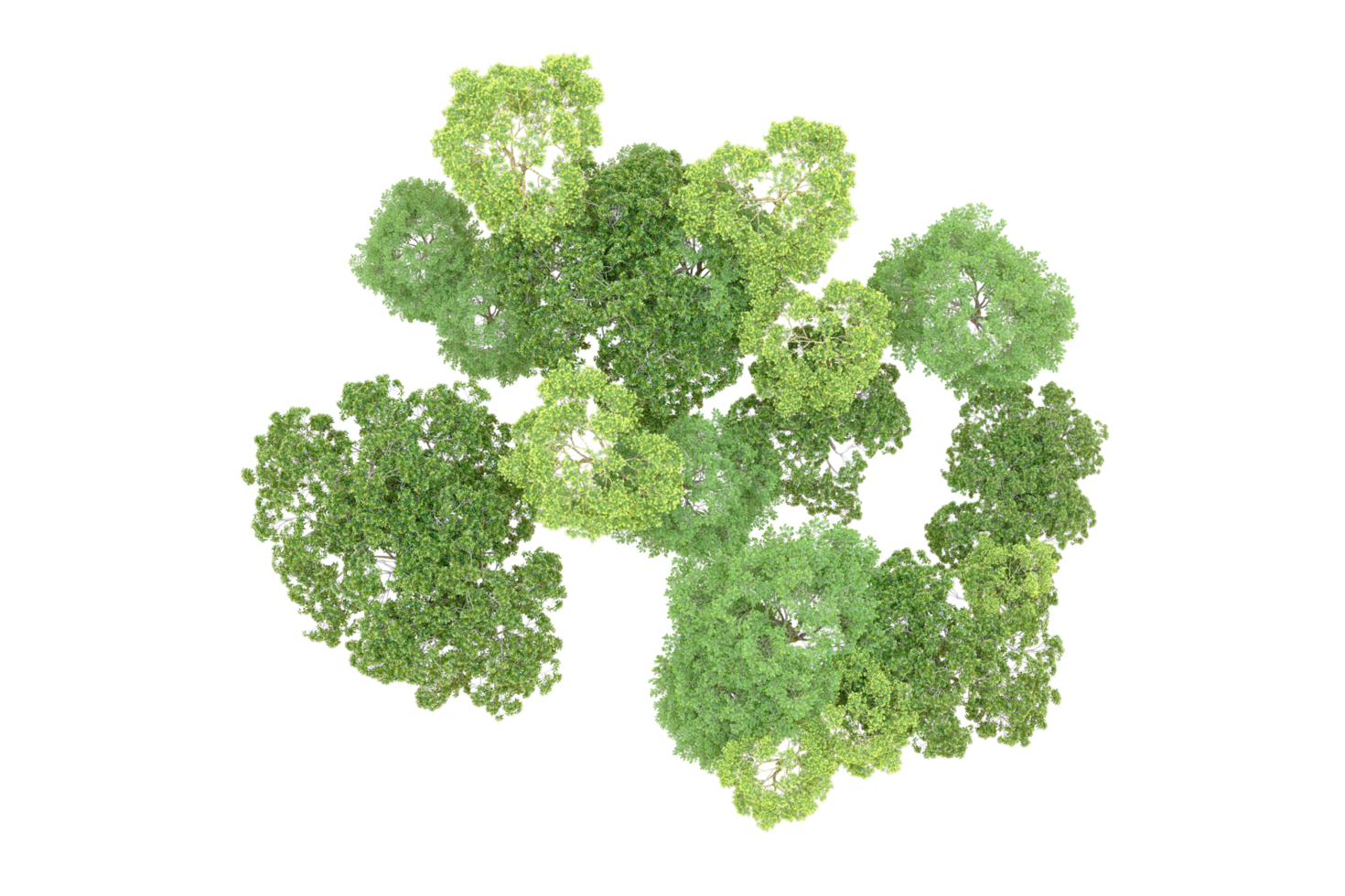 Green forest isolated on background. 3d rendering - illustration png