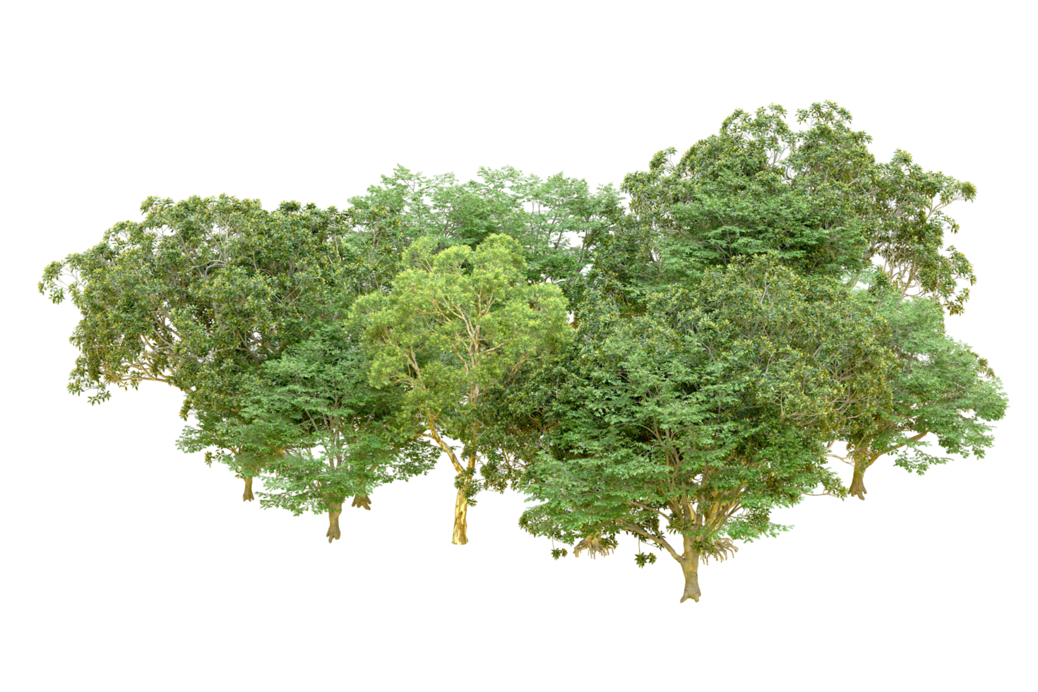 Green forest isolated on background. 3d rendering - illustration png