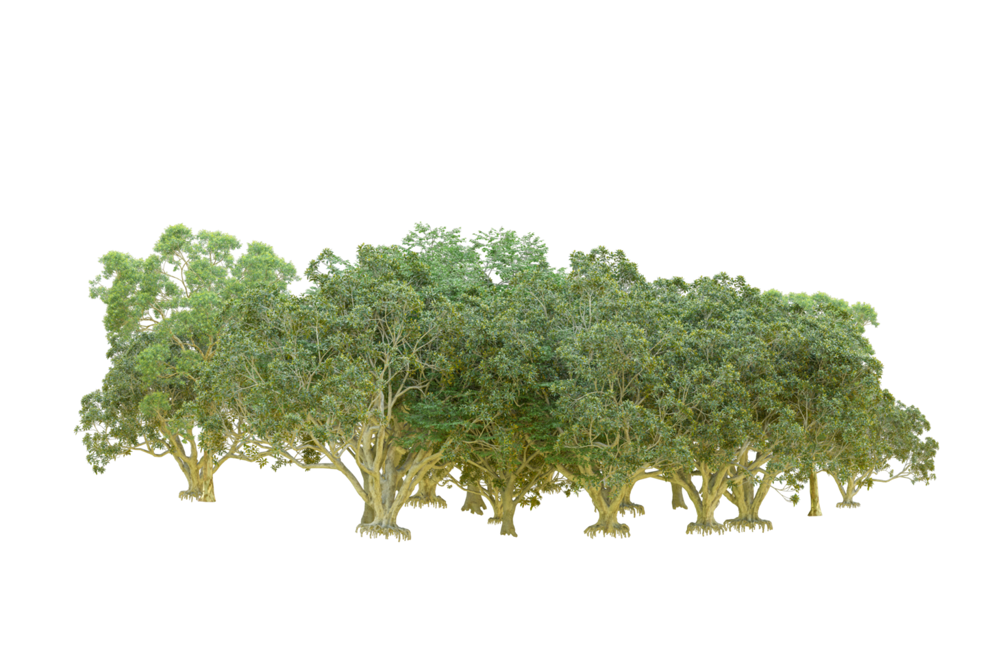 Green forest isolated on background. 3d rendering - illustration png