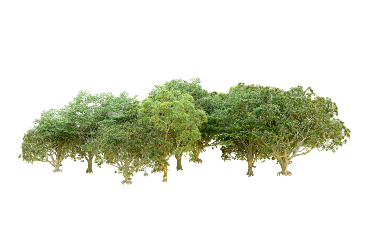 Green forest isolated on background. 3d rendering - illustration png