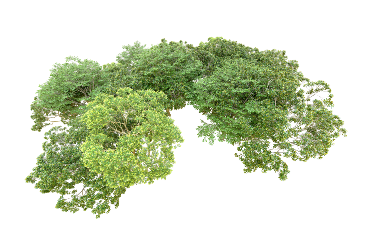 Green forest isolated on background. 3d rendering - illustration png