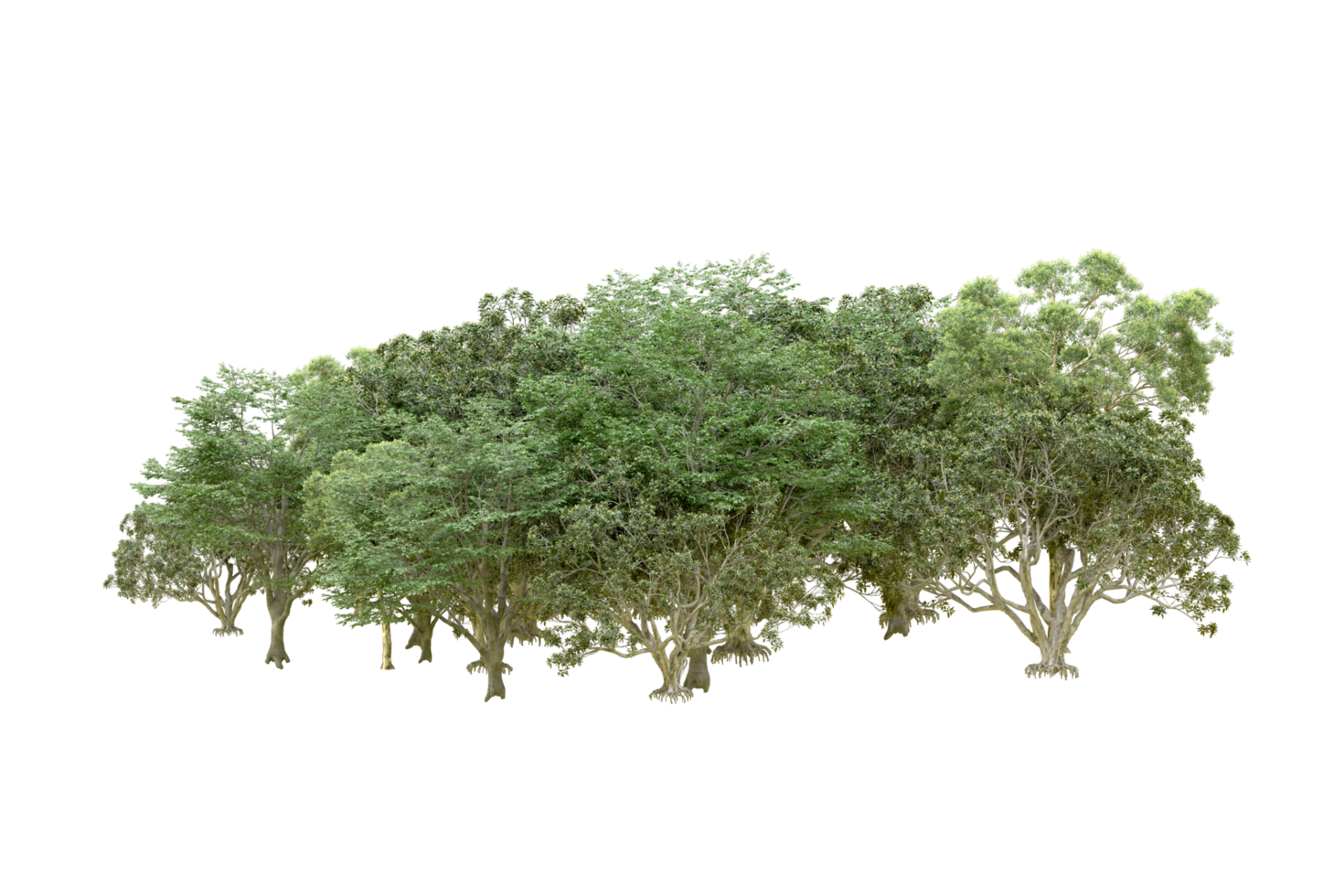 Green forest isolated on background. 3d rendering - illustration png