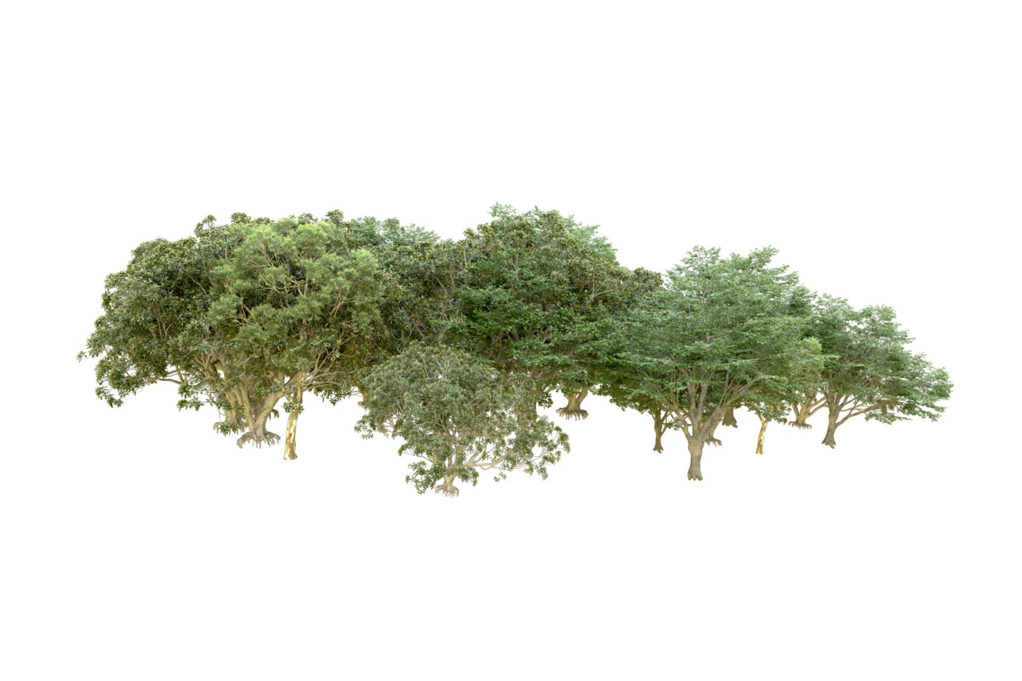Green forest isolated on background. 3d rendering - illustration png