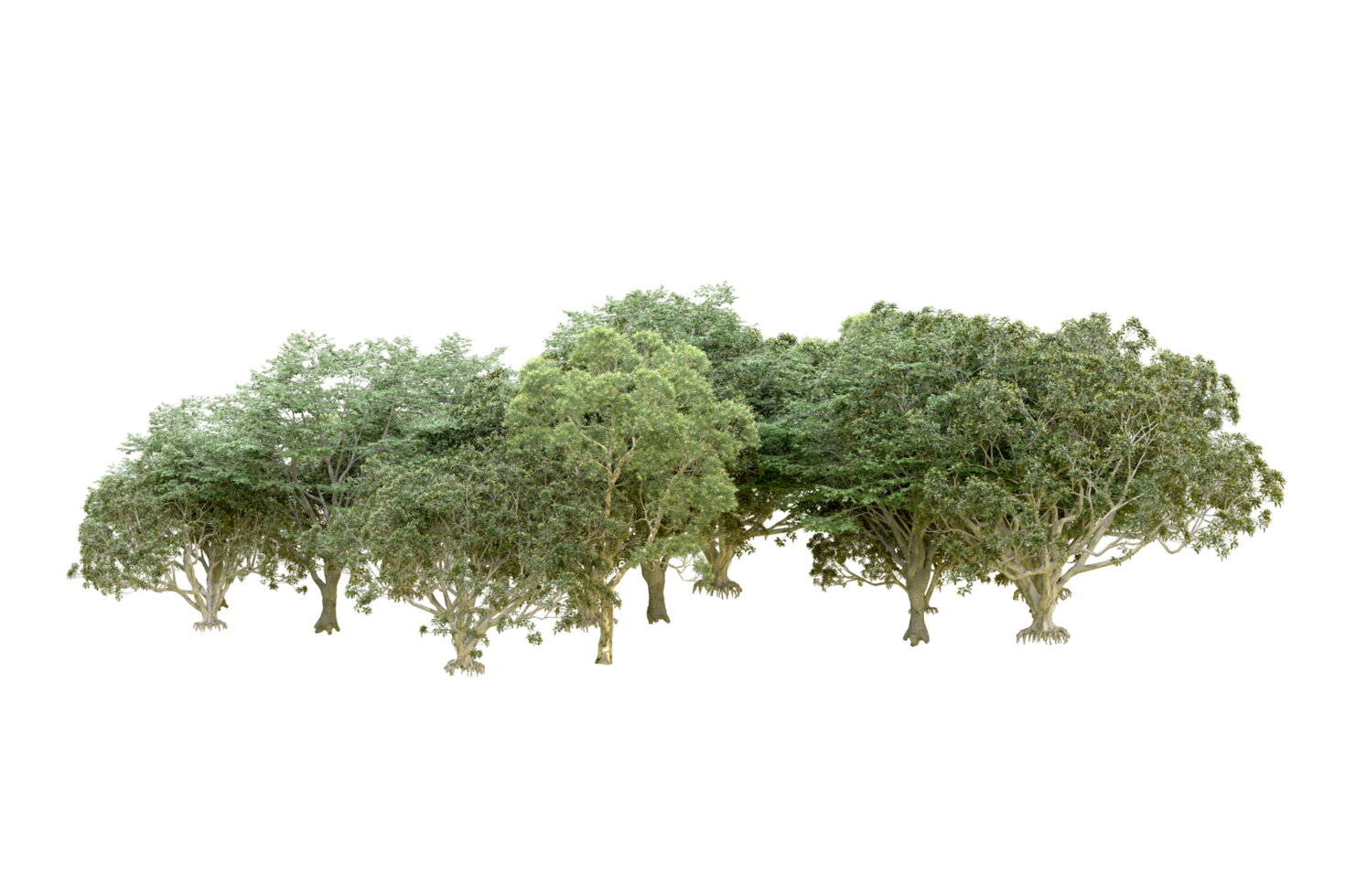 Green forest isolated on background. 3d rendering - illustration png