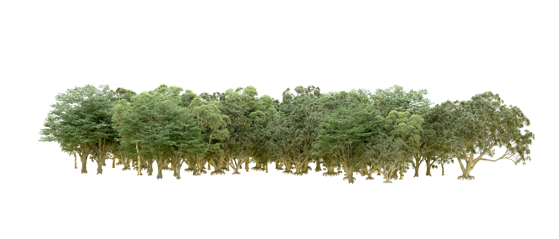 Green forest isolated on background. 3d rendering - illustration png