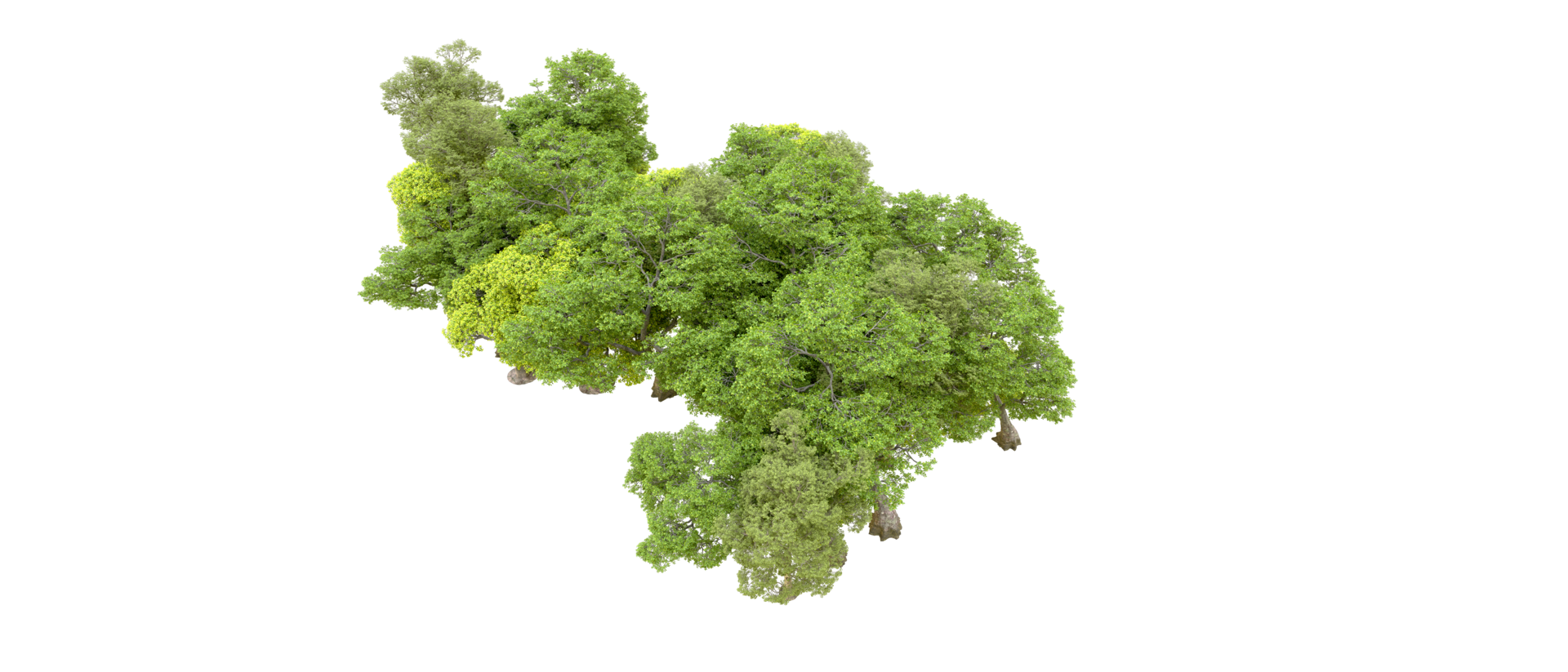 Green forest isolated on background. 3d rendering - illustration png
