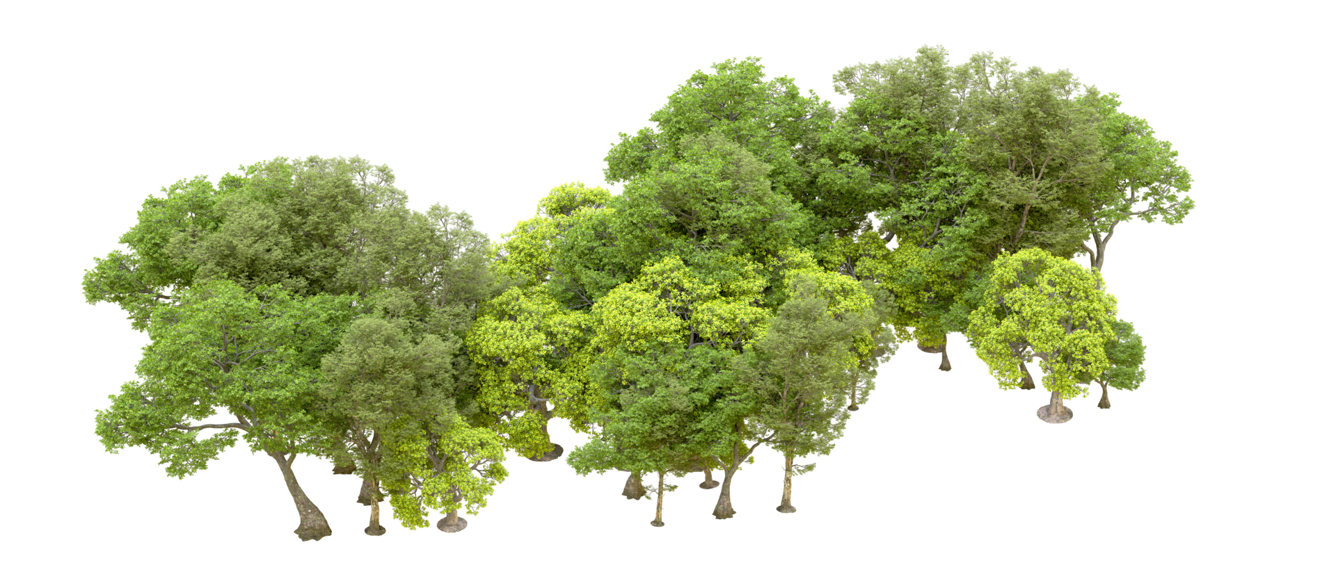 Green forest isolated on background. 3d rendering - illustration png