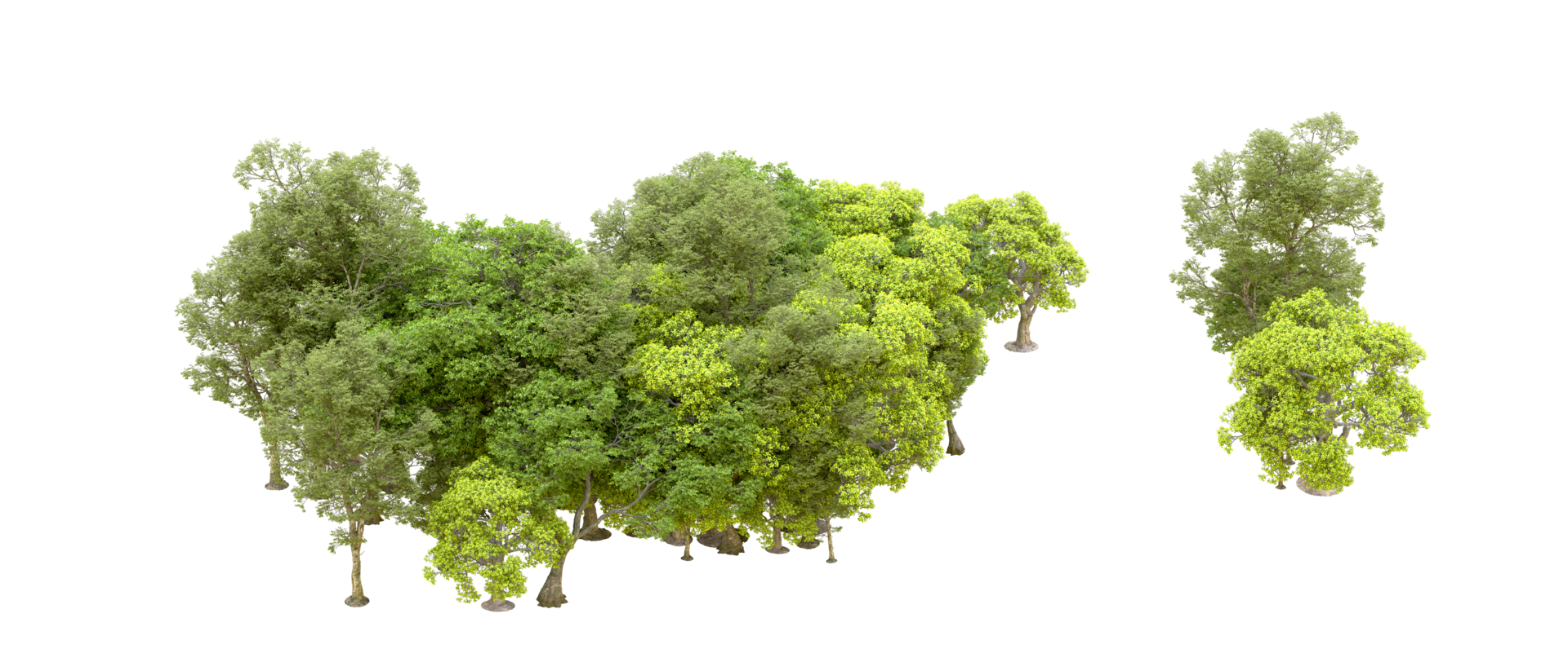 Green forest isolated on background. 3d rendering - illustration png