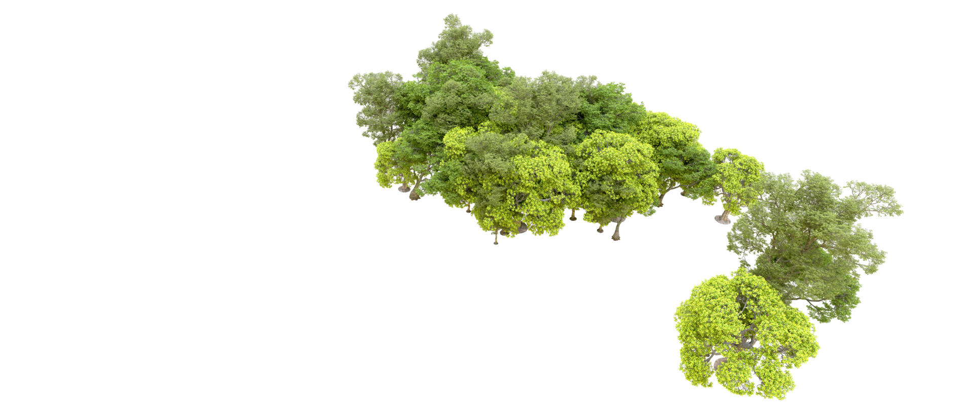 Green forest isolated on background. 3d rendering - illustration png