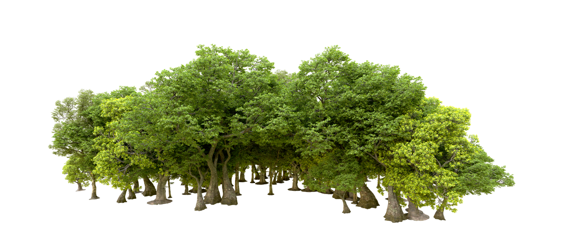 Green forest isolated on background. 3d rendering - illustration png