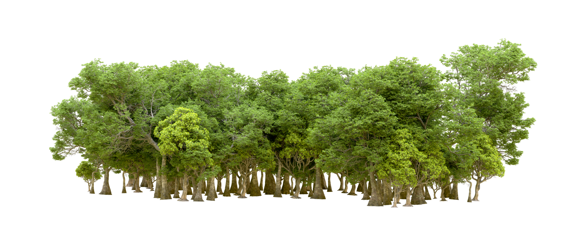 Green forest isolated on background. 3d rendering - illustration png