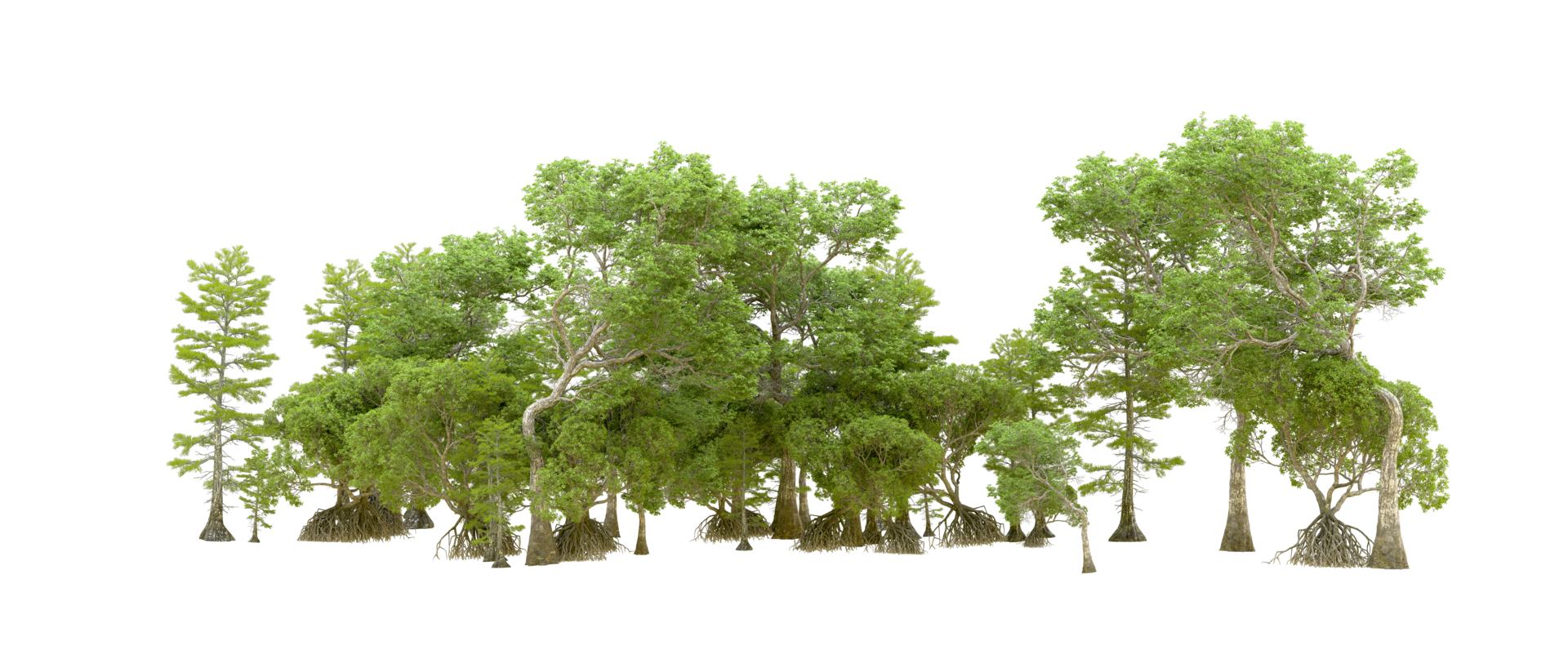 Green forest isolated on background. 3d rendering - illustration png