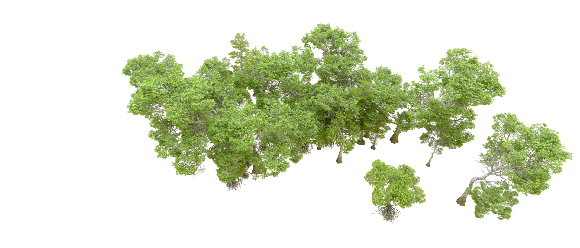 Green forest isolated on background. 3d rendering - illustration png