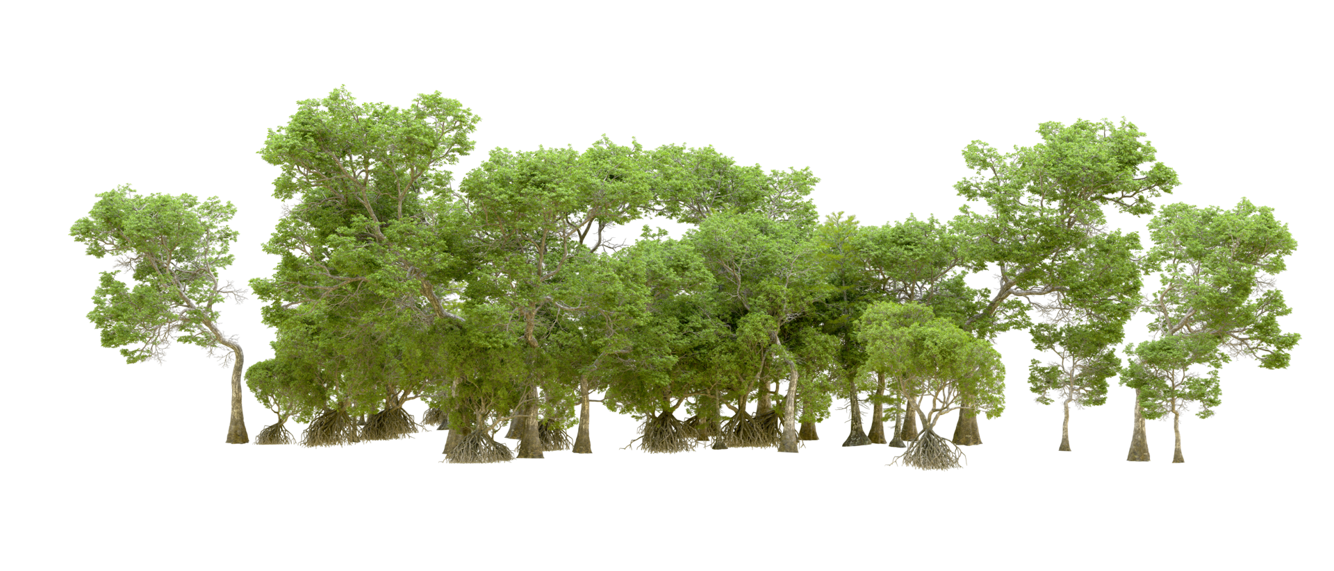 Green forest isolated on background. 3d rendering - illustration png