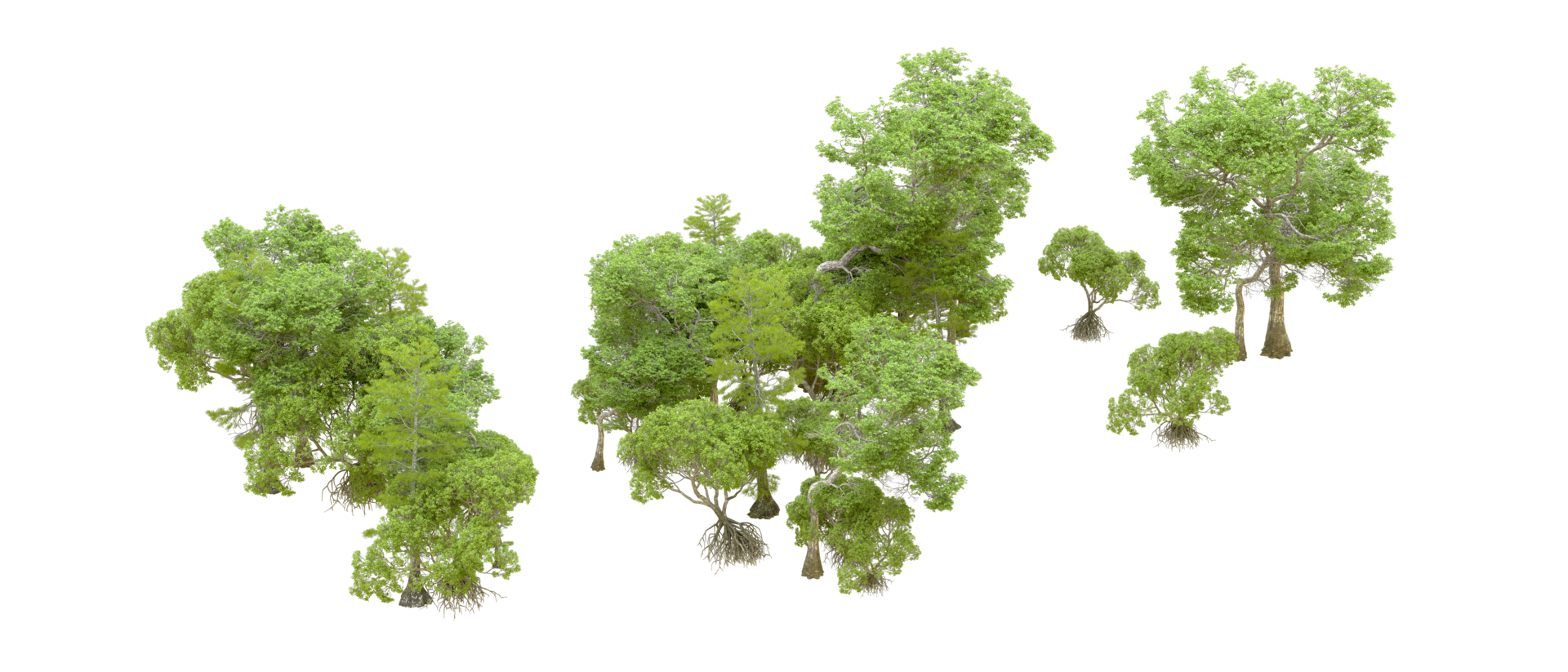 Green forest isolated on background. 3d rendering - illustration png