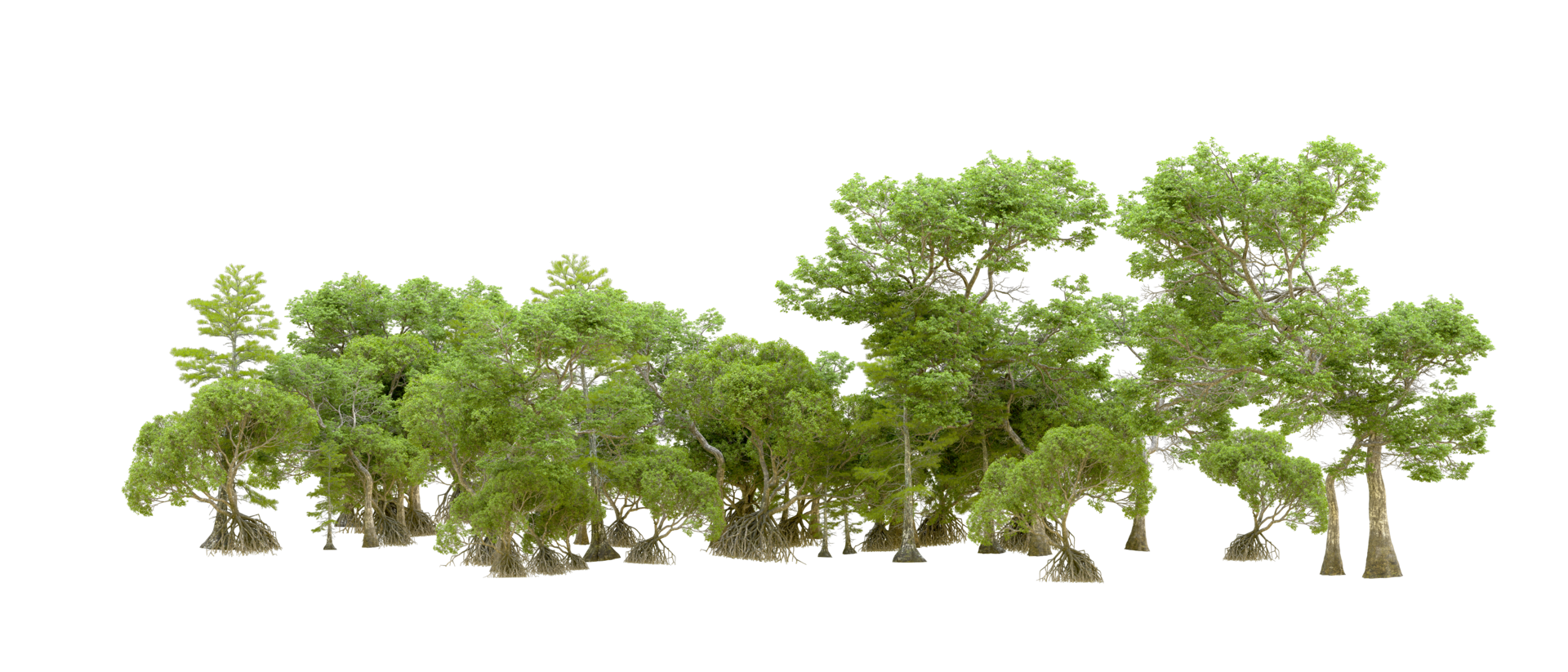 Green forest isolated on background. 3d rendering - illustration png