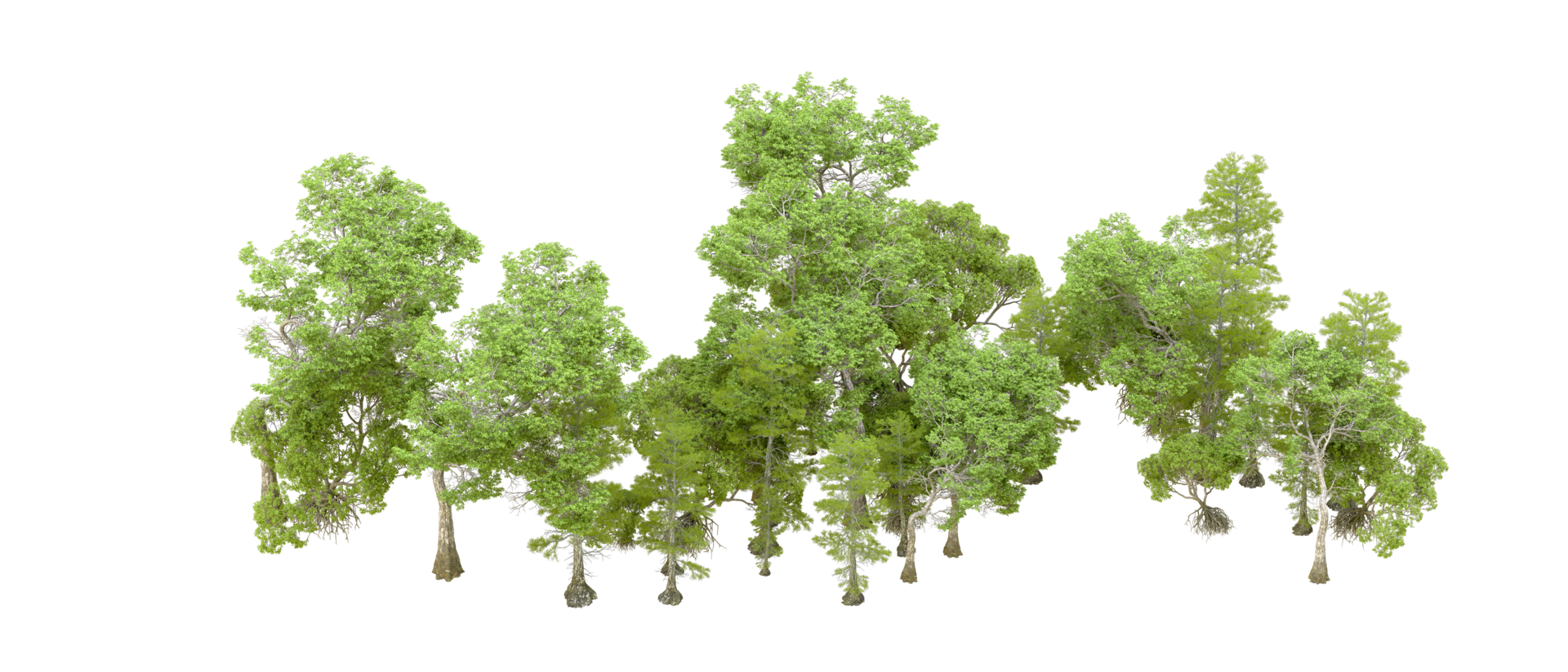 Green forest isolated on background. 3d rendering - illustration png