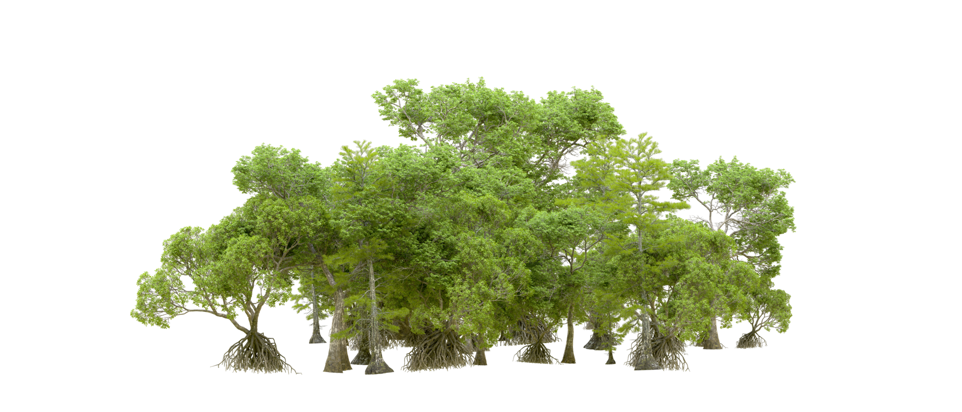 Green forest isolated on background. 3d rendering - illustration png