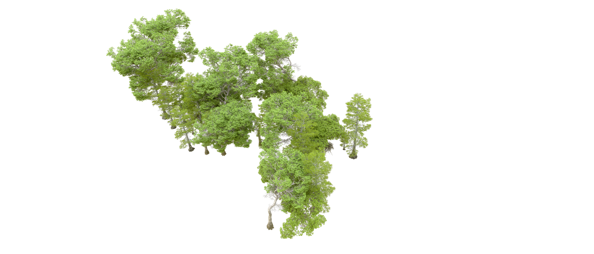 Grün Wald isoliert auf Hintergrund. 3d Rendern - - Illustration png