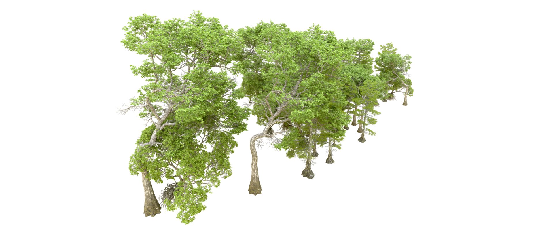 Green forest isolated on background. 3d rendering - illustration png