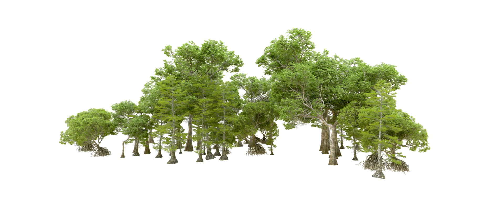 Green forest isolated on background. 3d rendering - illustration png