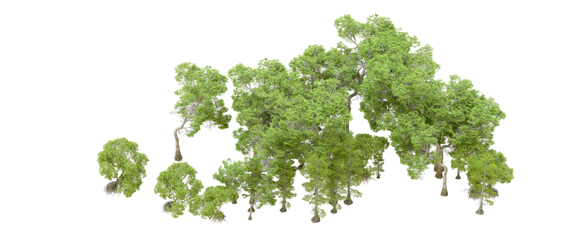 Green forest isolated on background. 3d rendering - illustration png