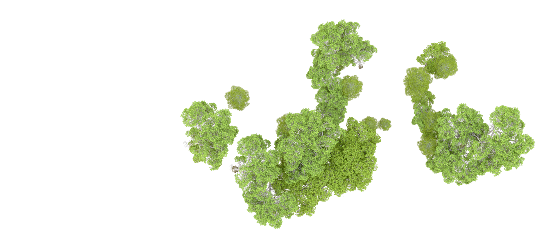 vert forêt isolé sur Contexte. 3d le rendu - illustration png