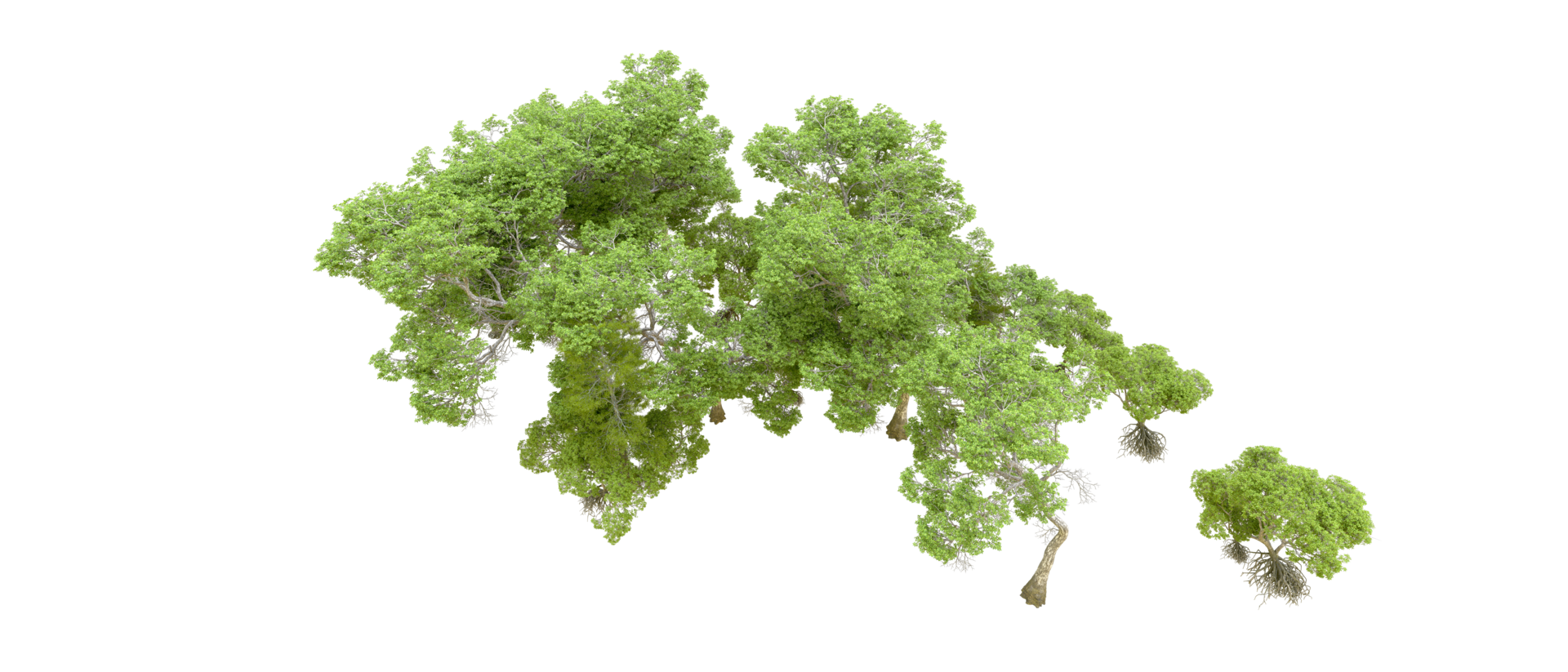 Grün Wald isoliert auf Hintergrund. 3d Rendern - - Illustration png