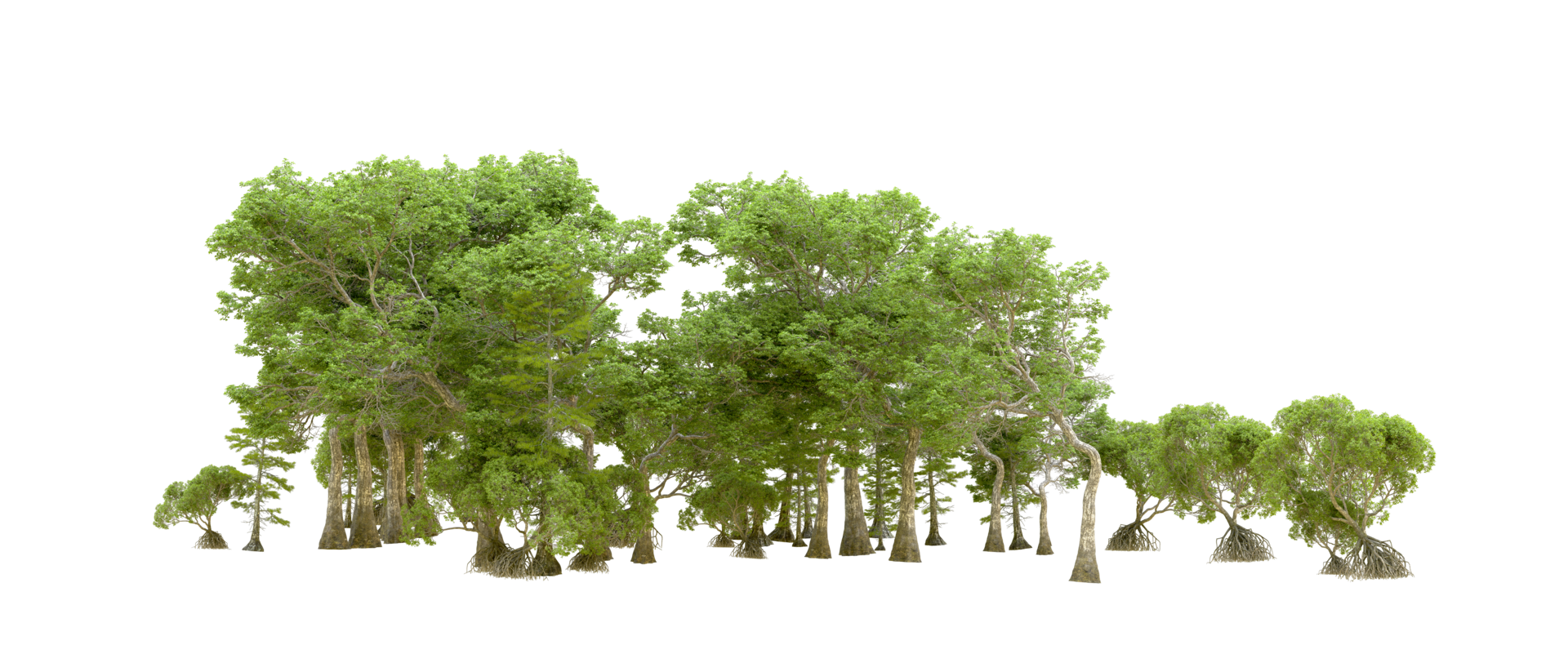 Green forest isolated on background. 3d rendering - illustration png