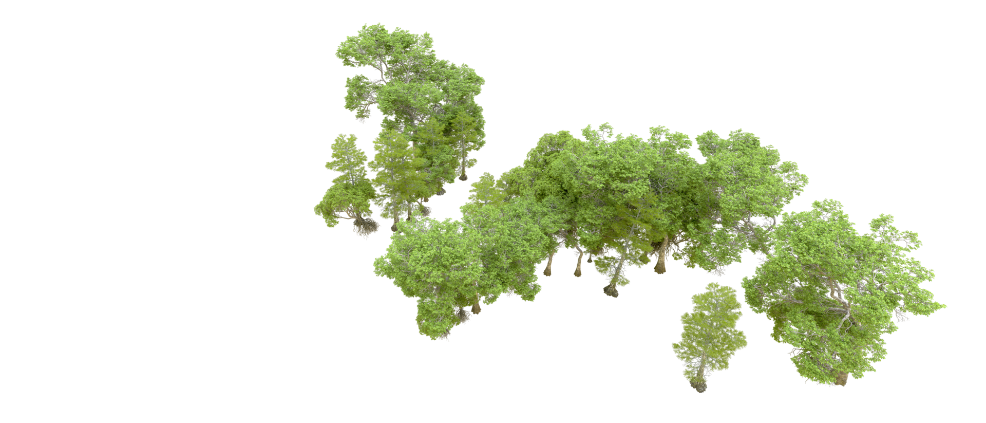 Green forest isolated on background. 3d rendering - illustration png